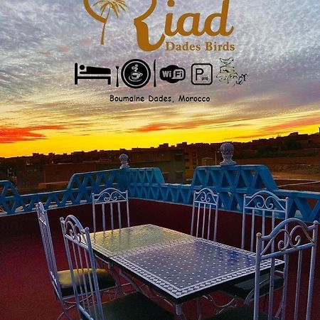 Riad Dades Birds Boumalne Dış mekan fotoğraf