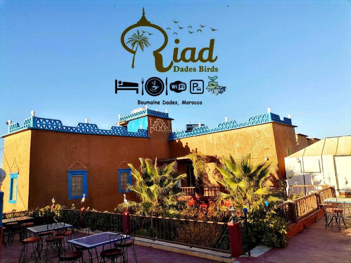 Riad Dades Birds Boumalne Dış mekan fotoğraf