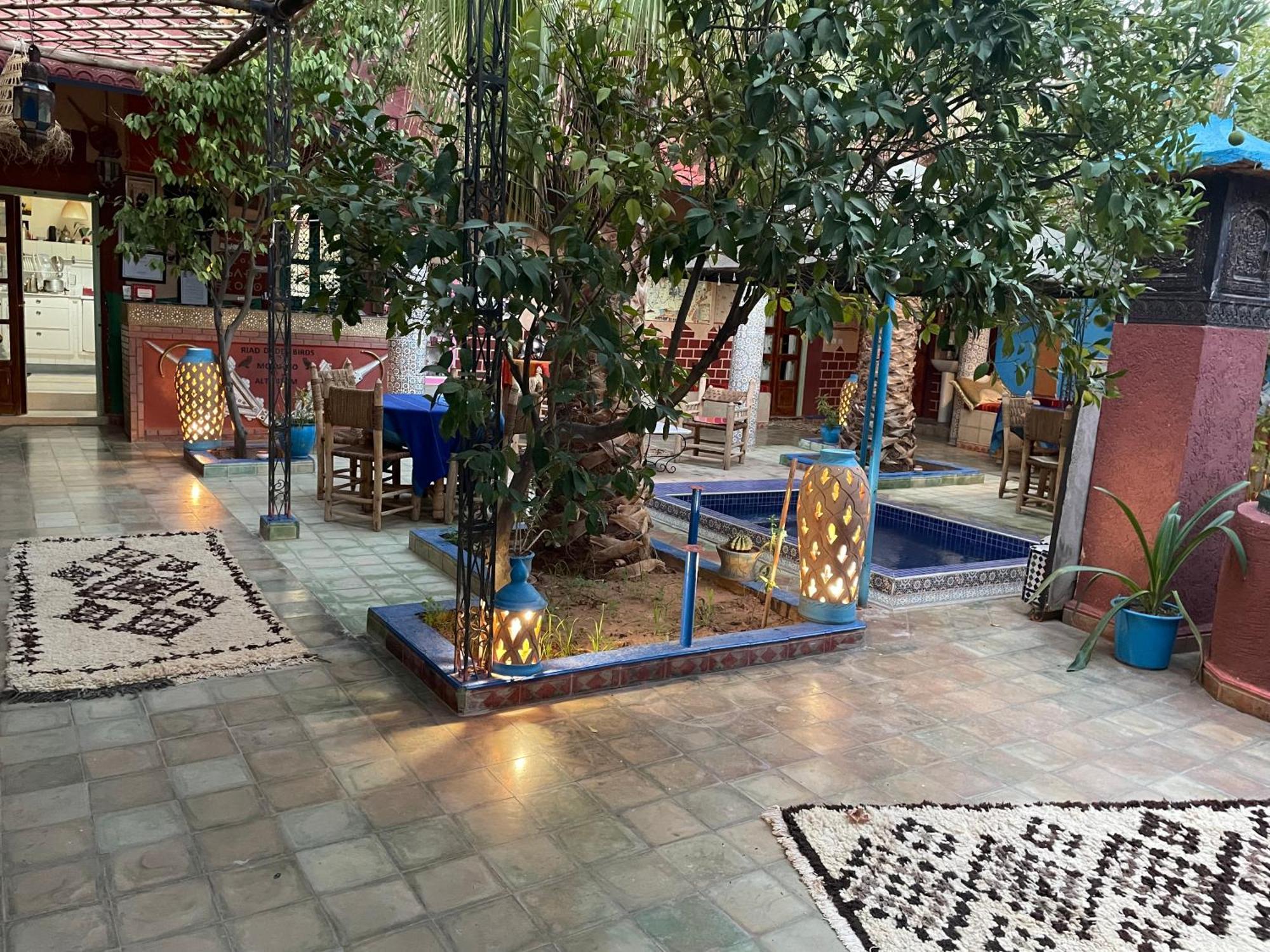 Riad Dades Birds Boumalne Dış mekan fotoğraf