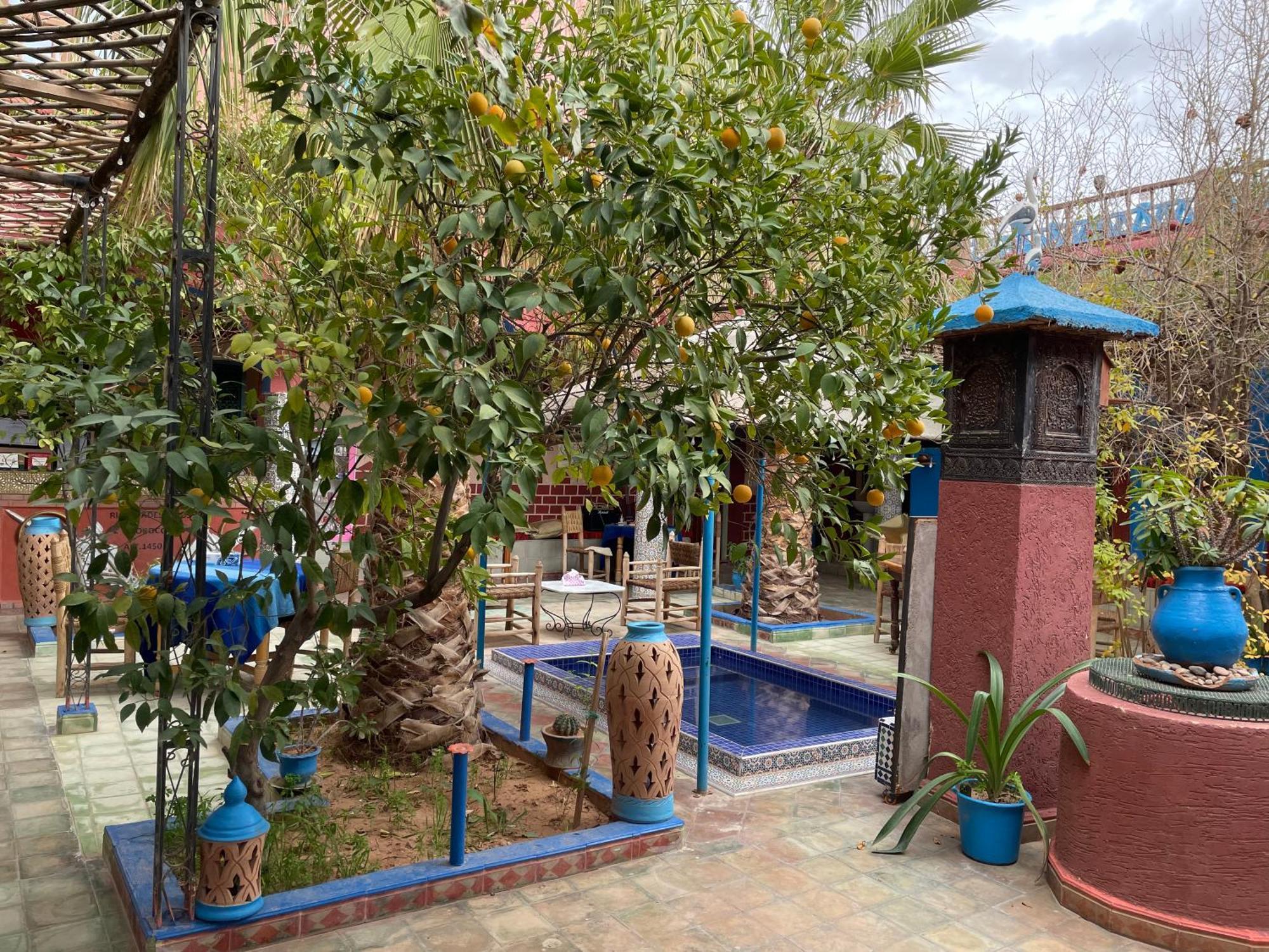 Riad Dades Birds Boumalne Dış mekan fotoğraf